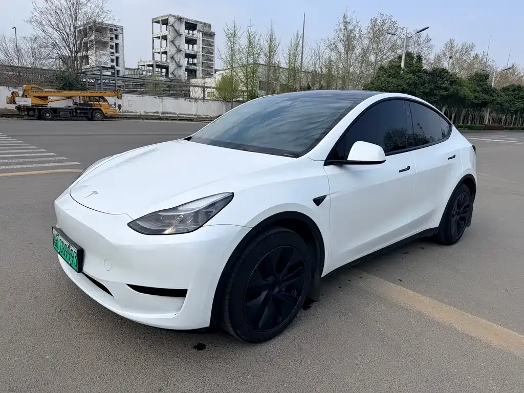 Tesla Model Y — фото 1