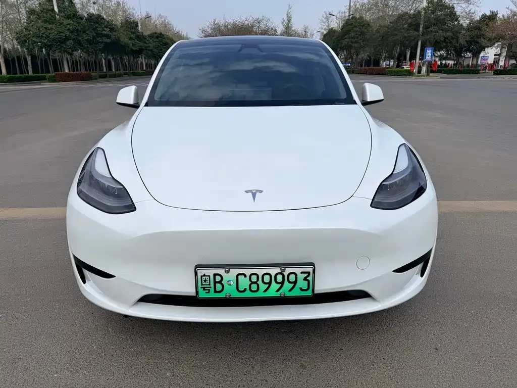 Tesla Model Y — фото 2