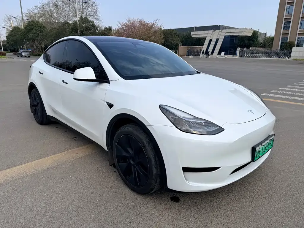 Tesla Model Y — фото 7