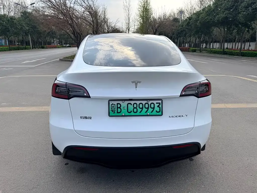 Tesla Model Y — фото 4