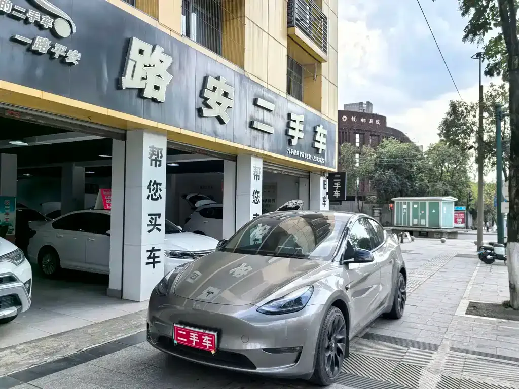 Tesla Model Y — фото 1