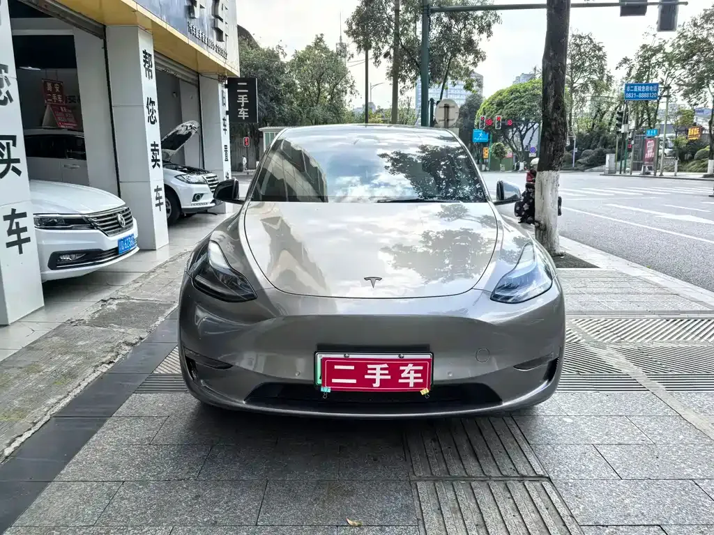 Tesla Model Y — фото 10