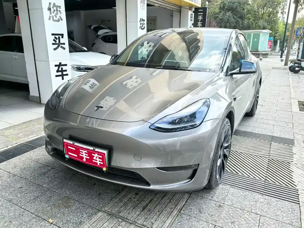 Tesla Model Y — фото 6