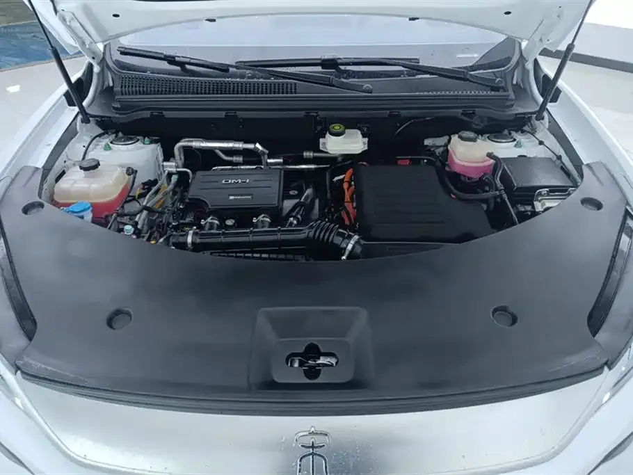 BYD Pro New Energy — фото 6