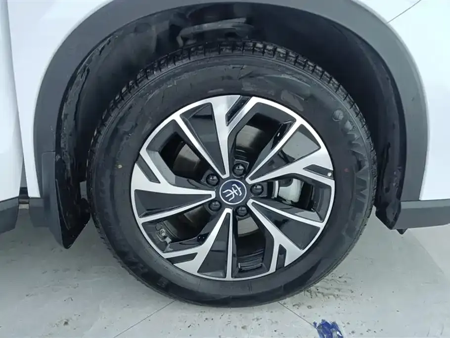 BYD Pro New Energy — фото 4