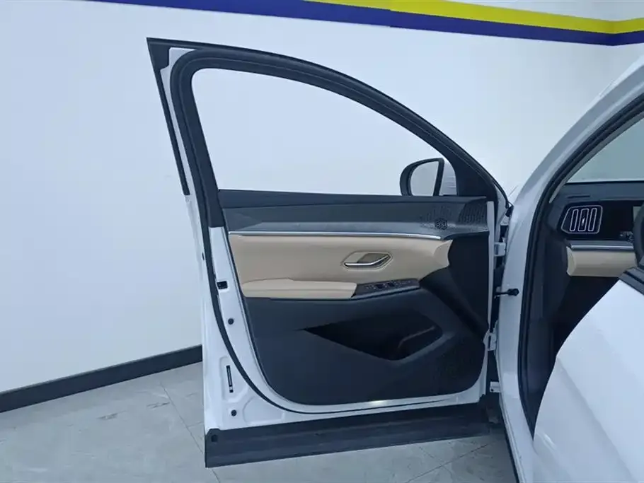 BYD Pro New Energy — фото 10