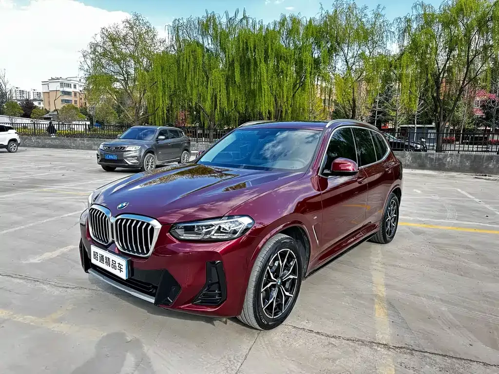 BMW X3 — фото 1