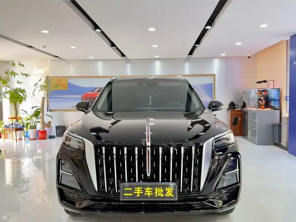 Hongqi HS5 2024 из CN, фото 10
