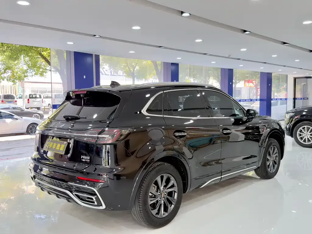 Hongqi HS5 2024 из CN, фото 6