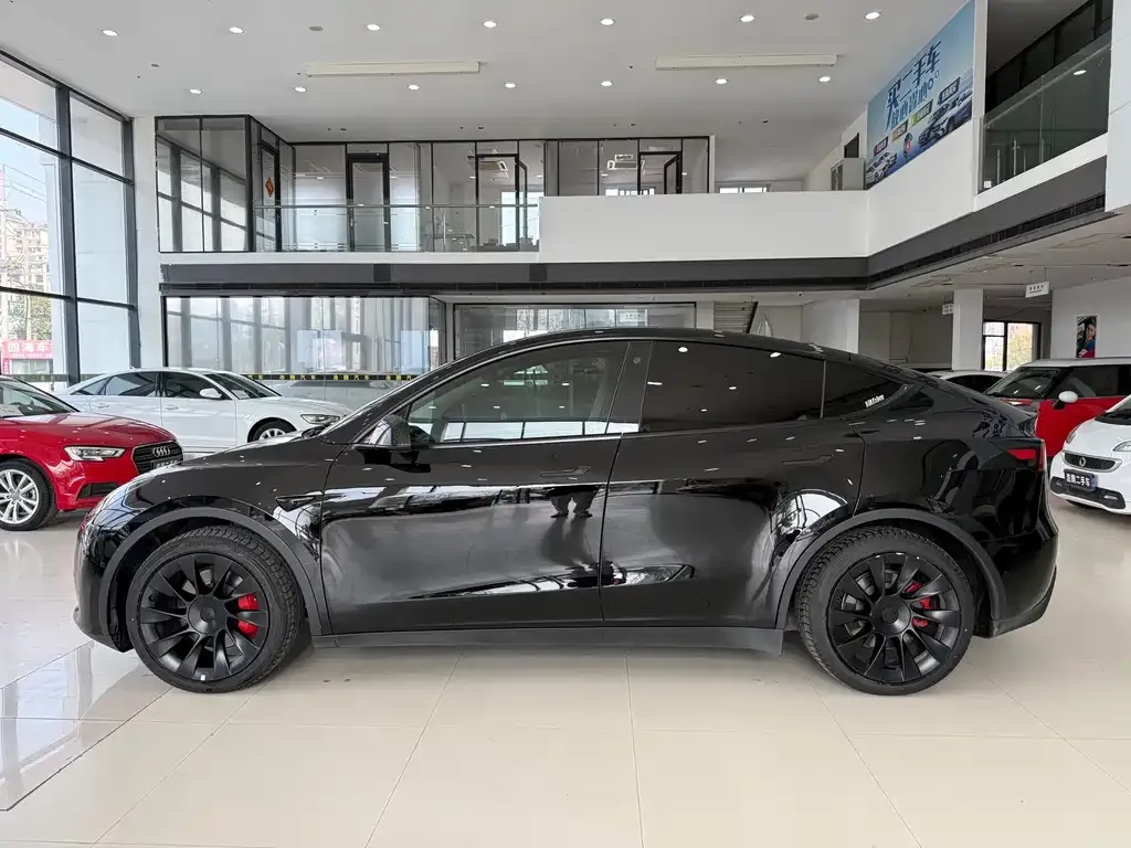 Tesla Model Y — фото 3