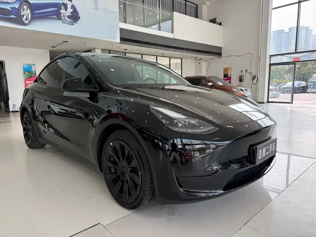 Tesla Model Y — фото 5