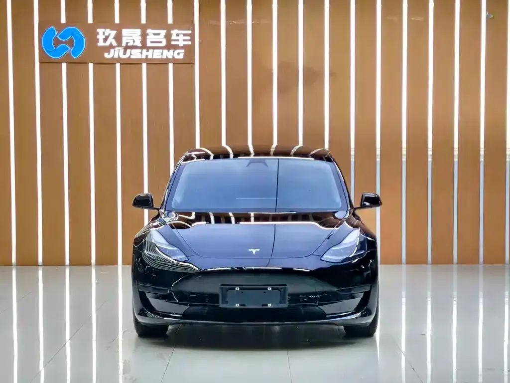 Tesla Model 3 2021 из CN, фото 6