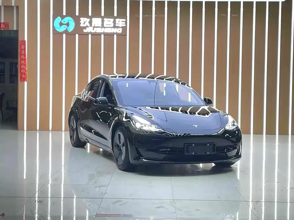 Tesla Model 3 2021 из CN, фото 5