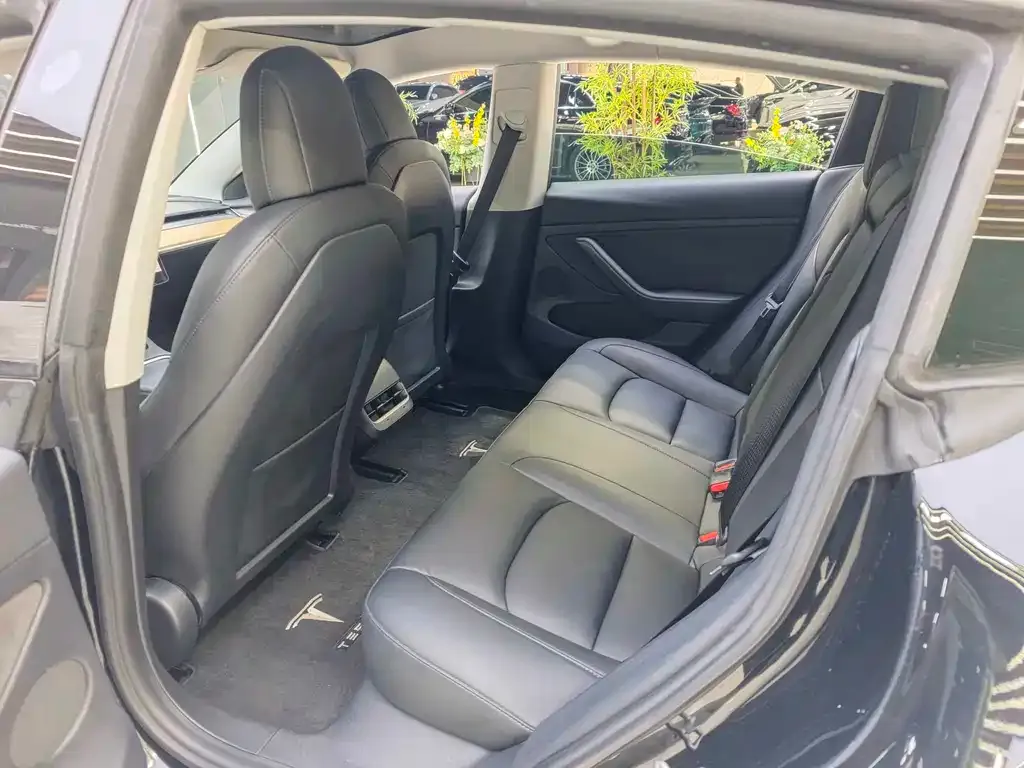 Tesla Model 3 2021 из CN, фото 7