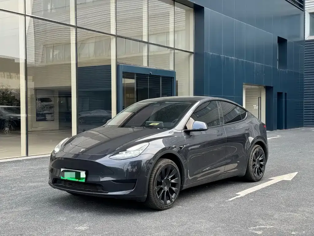 Tesla Model Y — фото 1