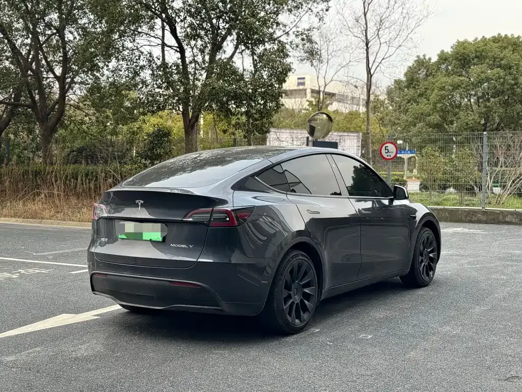 Tesla Model Y — фото 10