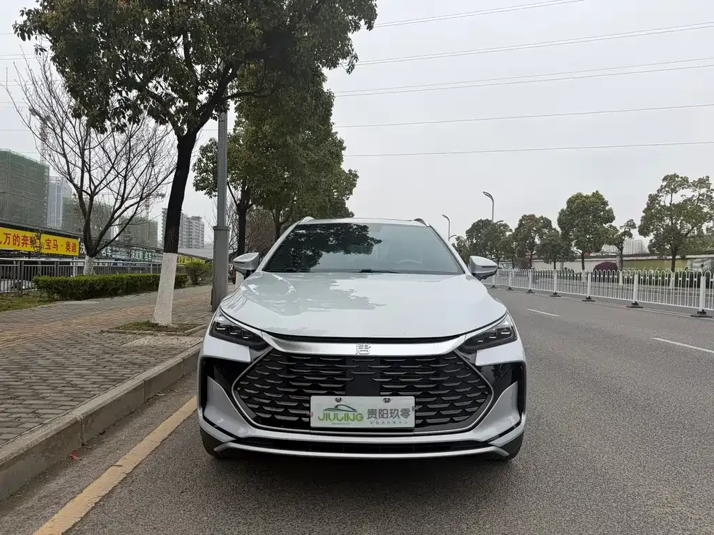 BYD Tang New Energy — фото 1