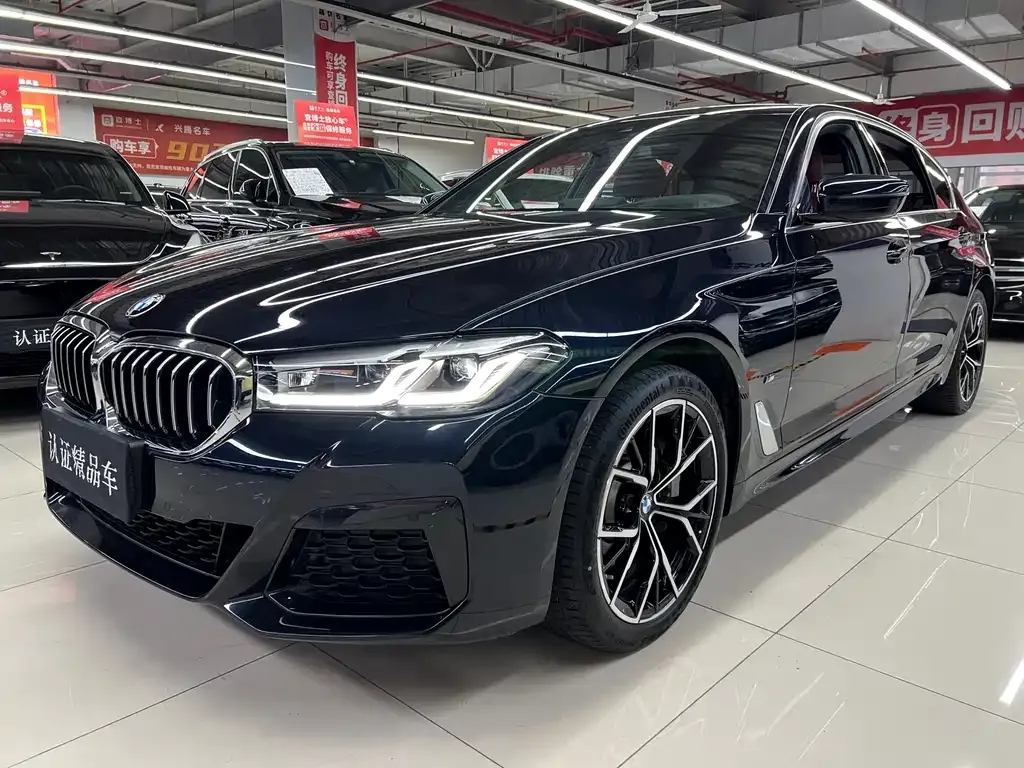 BMW 5 Series 2023 из CN, фото 3