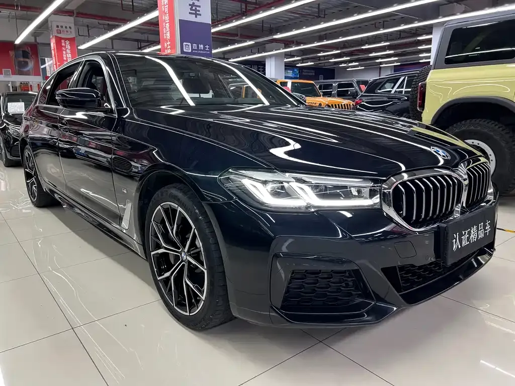 BMW 5 Series 2023 из CN, фото 9