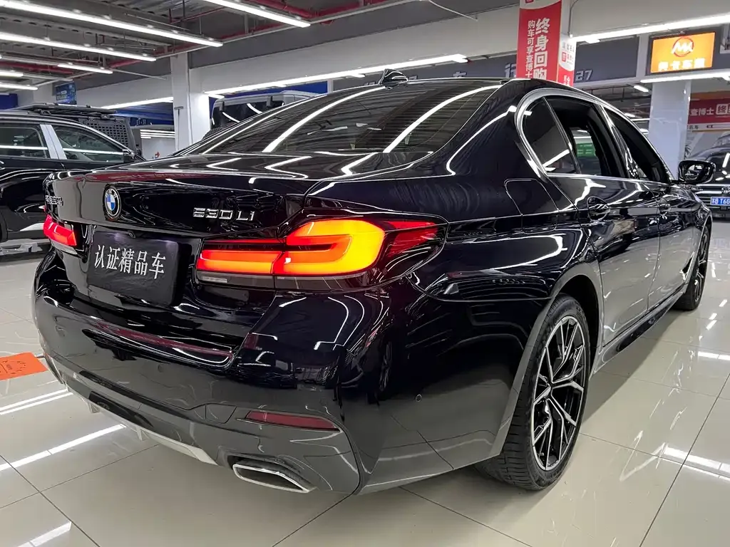 BMW 5 Series 2023 из CN, фото 6