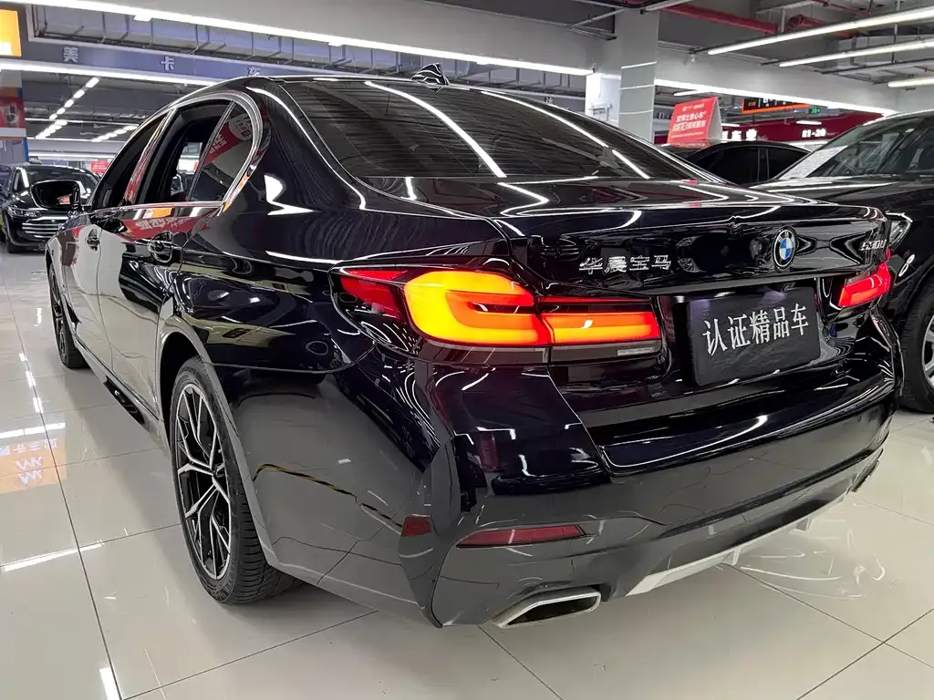 BMW 5 Series 2023 из CN, фото 4