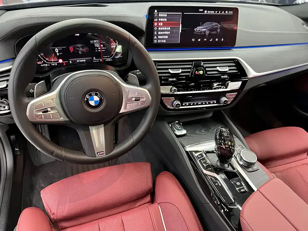 BMW 5 Series 2023 из CN, фото 10