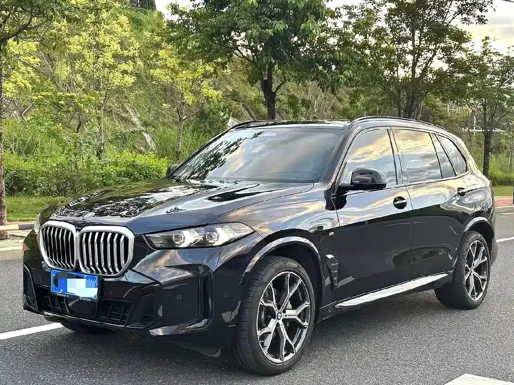 BMW X5 2024 из CN, фото 1