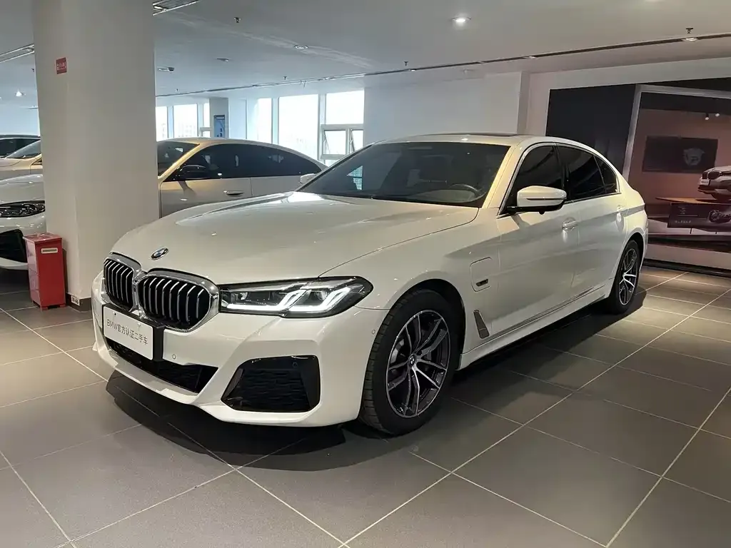 BMW 5 Series New Energy 2023 из CN, фото 1