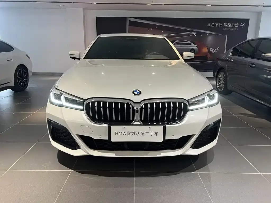 BMW 5 Series New Energy 2023 из CN, фото 4