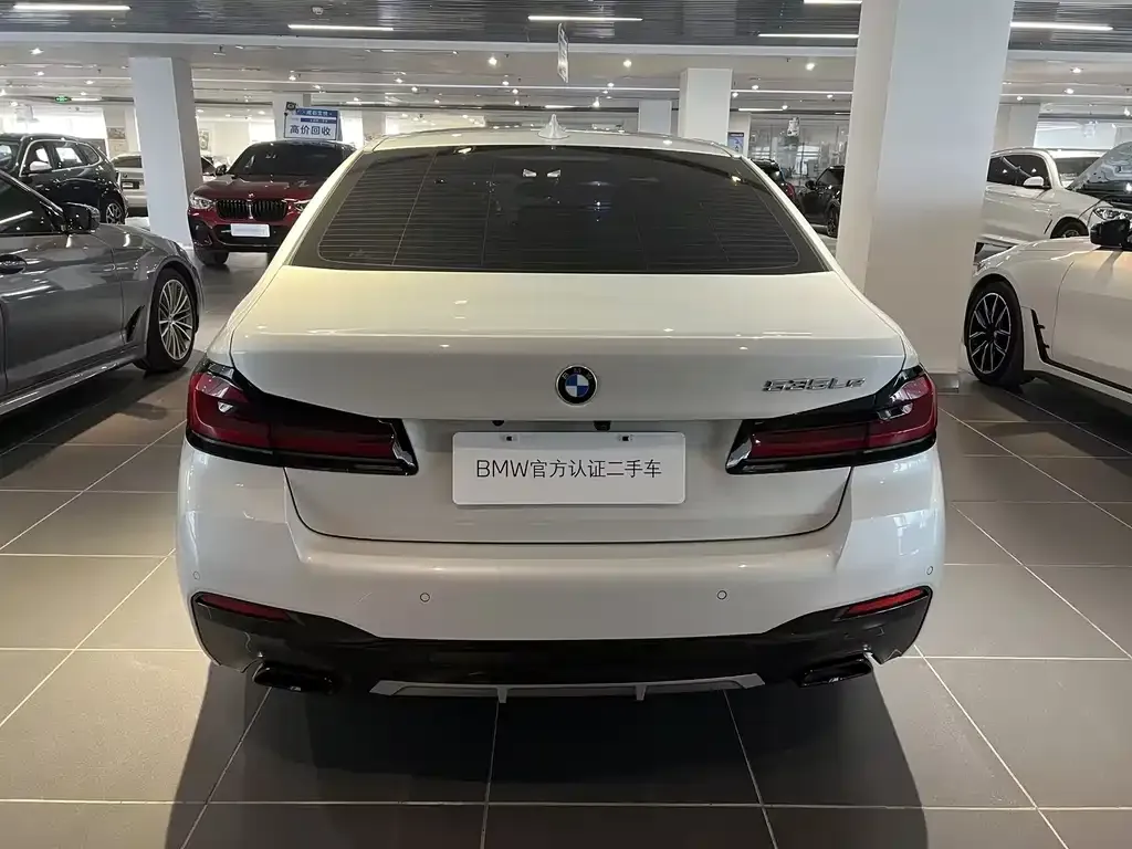 BMW 5 Series New Energy 2023 из CN, фото 9