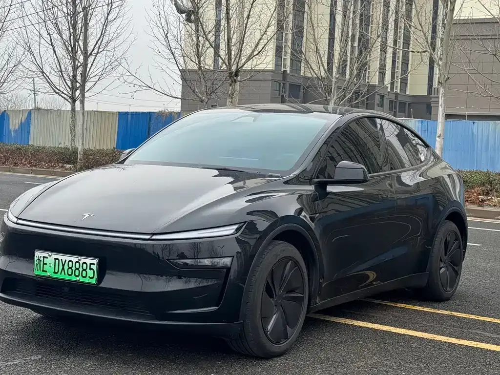 Tesla Model Y 2025 из CN, фото 9