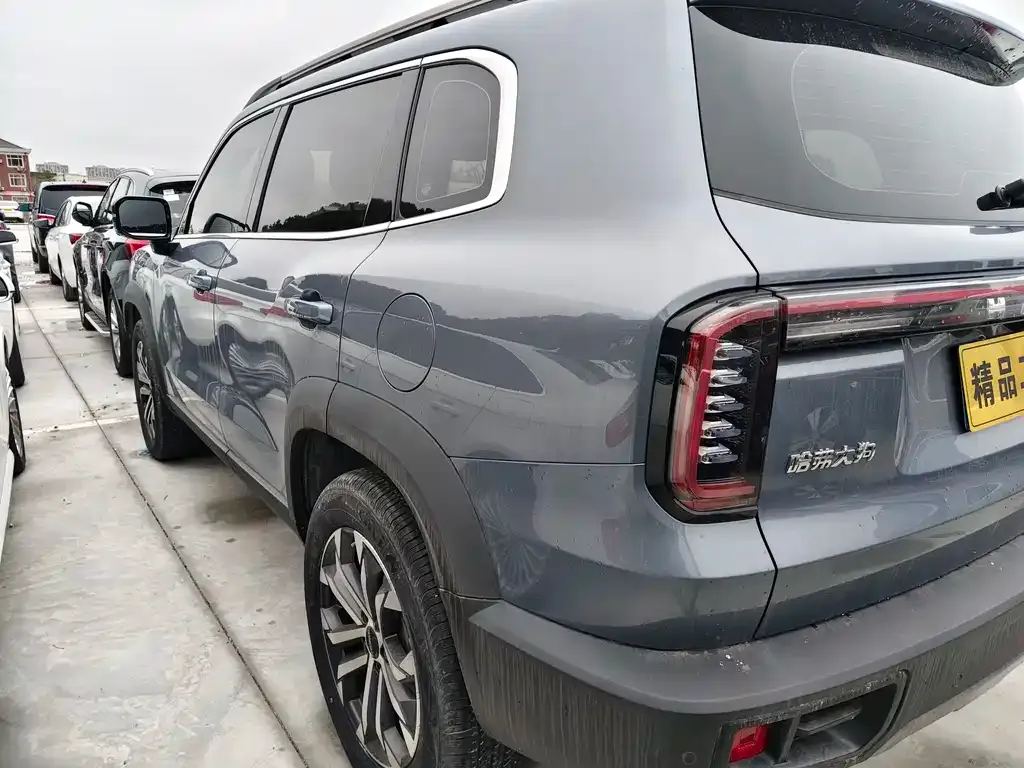 Haval Big Dog 2023 из CN, фото 8
