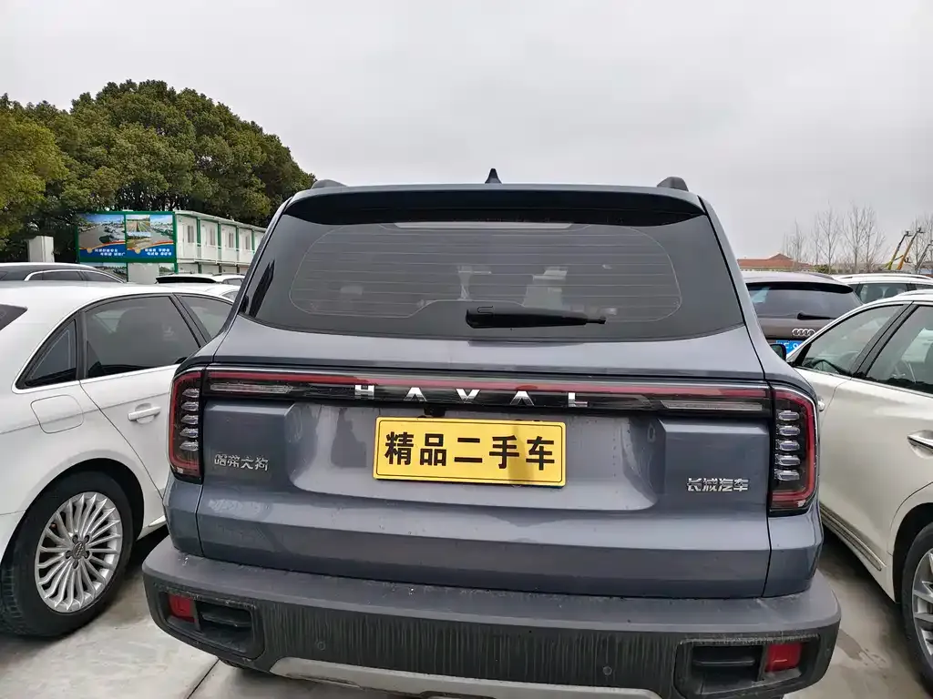 Haval Big Dog 2023 из CN, фото 6