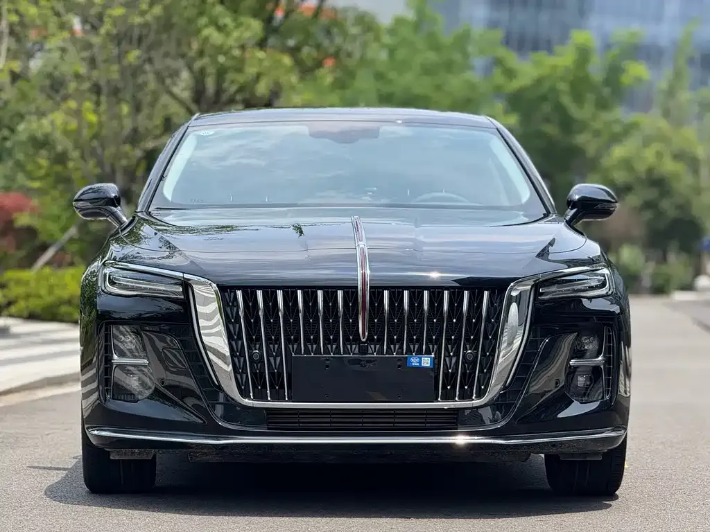 Hongqi H5 2024 из CN, фото 9