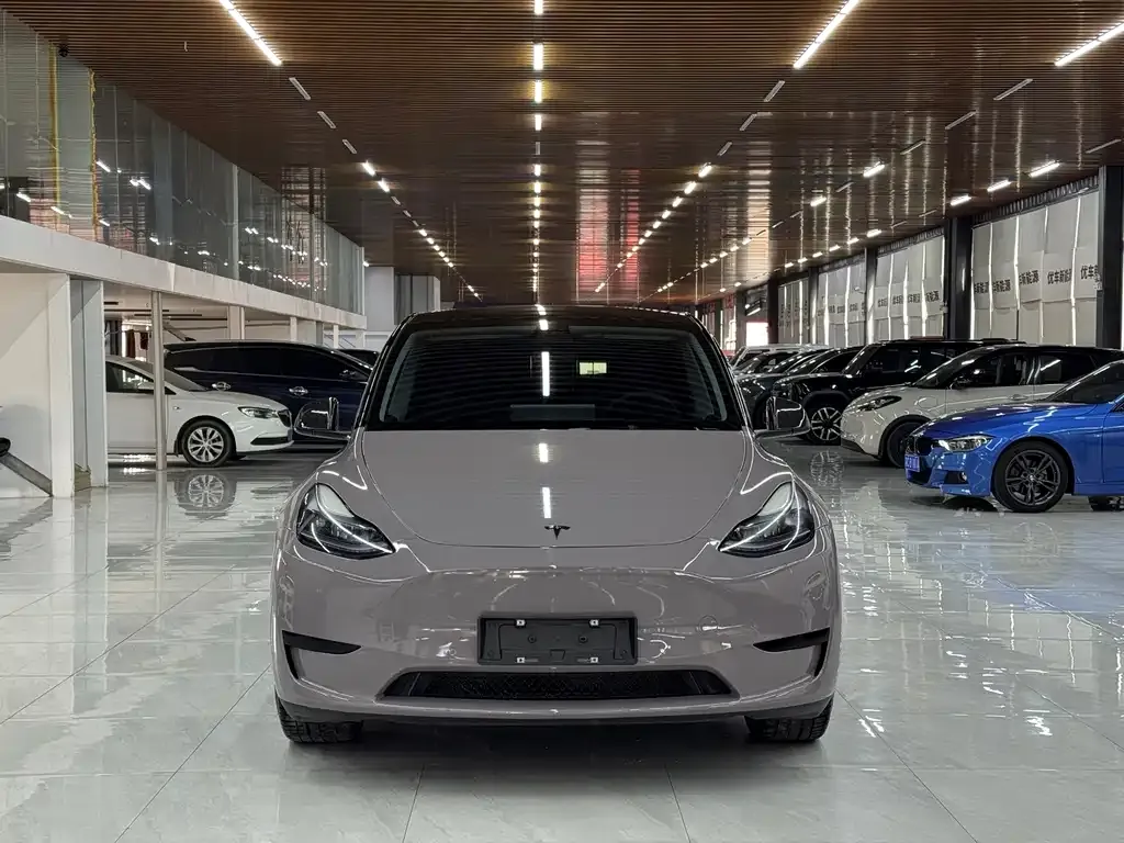 Tesla Model Y — фото 3