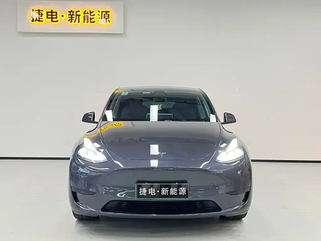 Tesla Model Y — фото 6