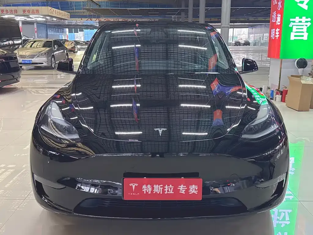 Tesla Model Y — фото 1