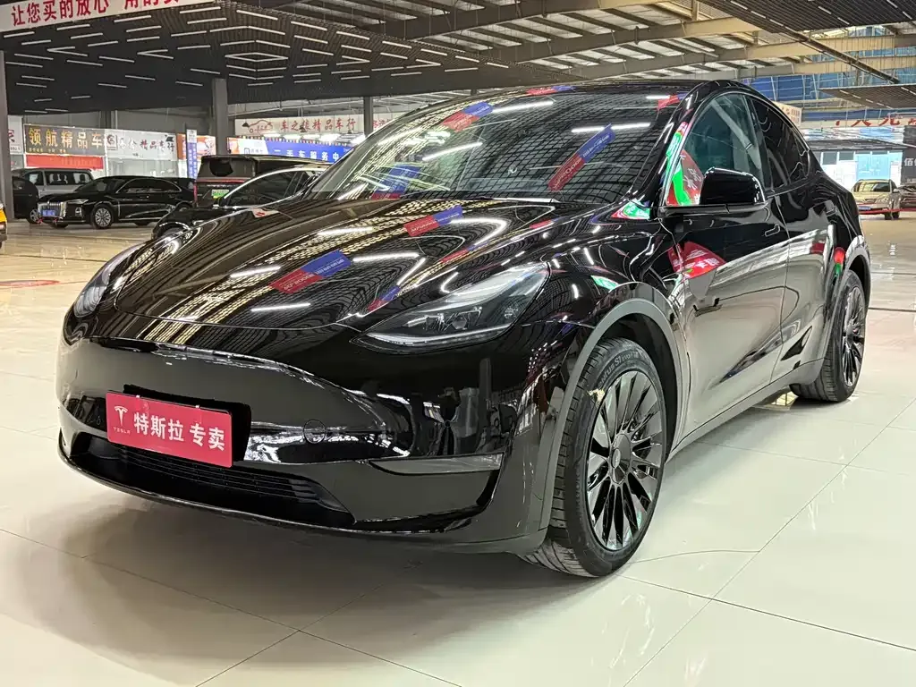 Tesla Model Y — фото 7