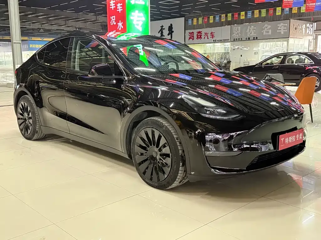 Tesla Model Y — фото 3