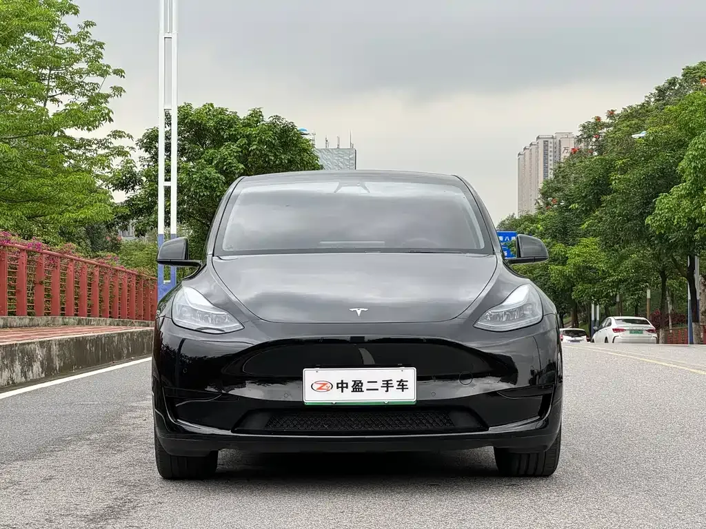 Tesla Model Y — фото 4