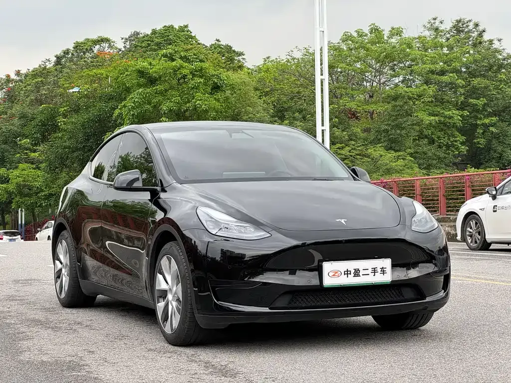Tesla Model Y — фото 9