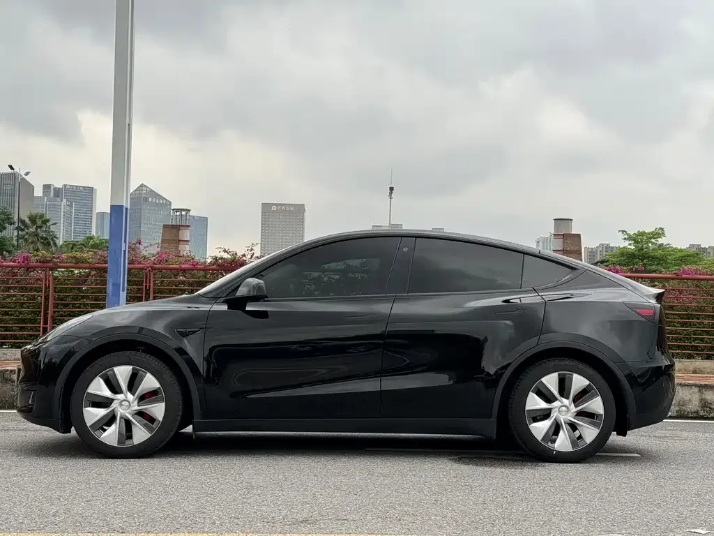 Tesla Model Y — фото 7