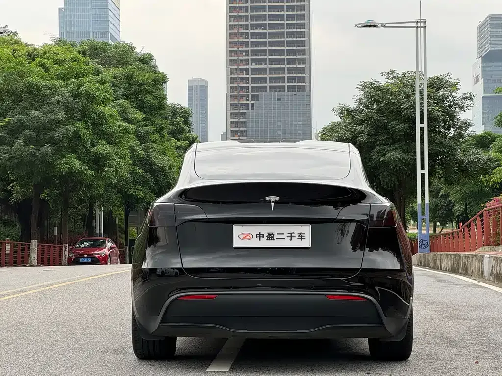 Tesla Model Y — фото 8