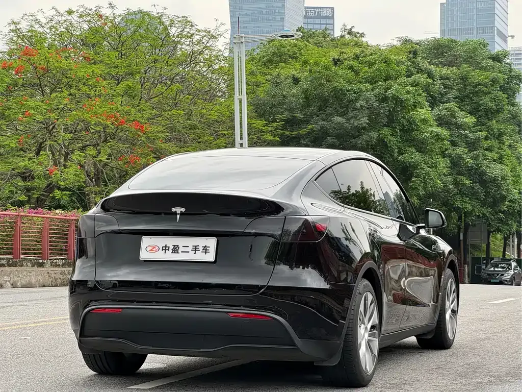 Tesla Model Y — фото 10