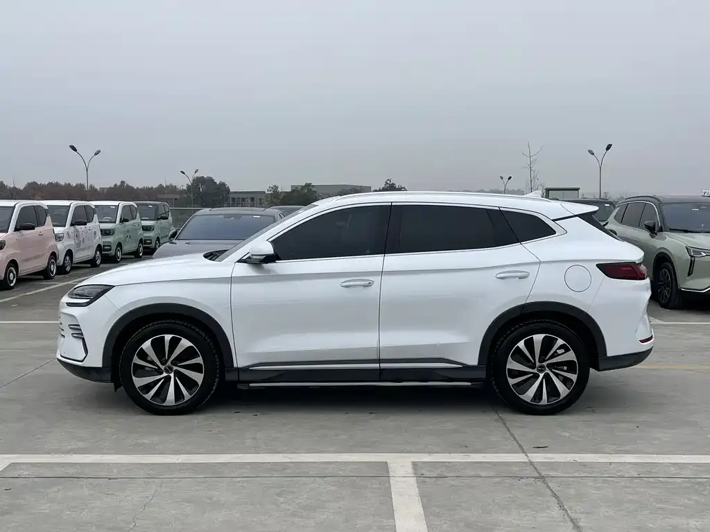 BYD PLUS New Energy 2024 из CN, фото 3