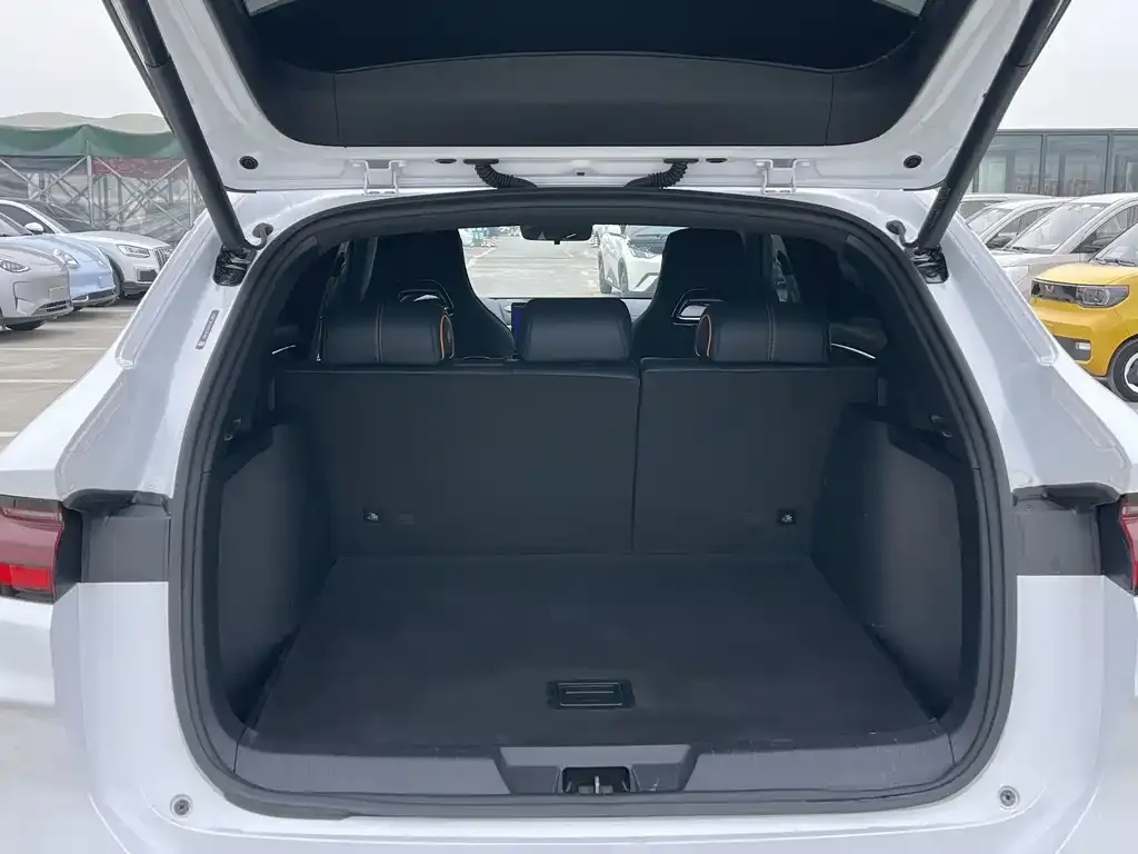 BYD PLUS New Energy 2024 из CN, фото 2