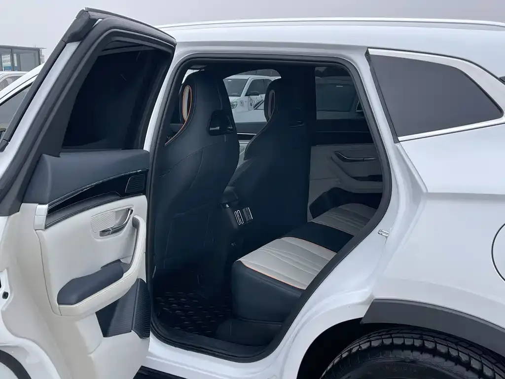 BYD PLUS New Energy 2024 из CN, фото 4
