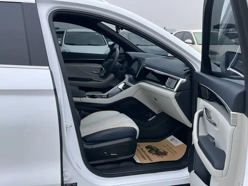 BYD PLUS New Energy 2024 из CN, фото 9