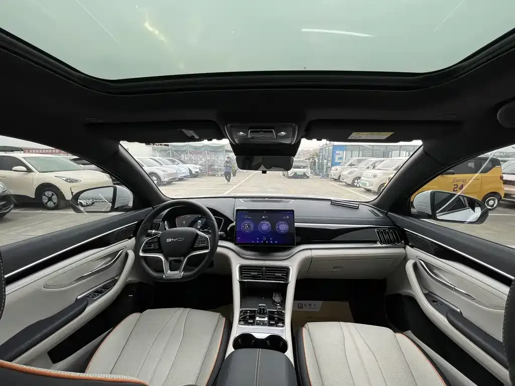 BYD PLUS New Energy 2024 из CN, фото 7