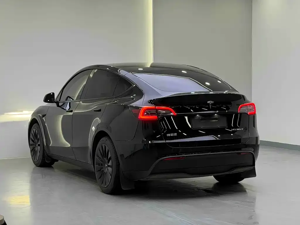 Tesla Model Y 2023 из CN, фото 2